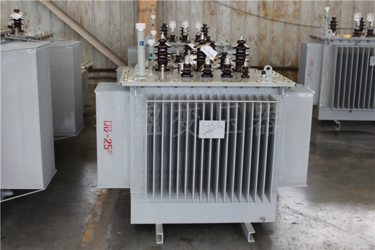 荆门S20-800kVA/10kV/0.4kV变压器